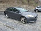2016 Ford Focus Se for Sale in Marlboro, NY - Rear End