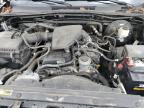 2014 Toyota Tacoma  for Sale in Cahokia Heights, IL - Hail