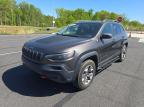 2019 Jeep Cherokee Trailhawk იყიდება Waldorf-ში, MD - Minor Dent/Scratches