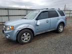2009 Ford Escape Hybrid იყიდება Hillsborough-ში, NJ - Side