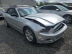 2014 Ford Mustang  for Sale in Spartanburg, SC - Front End