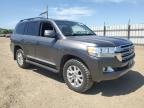 2017 Toyota Land Cruiser  на продаже в San Martin, CA - Water/Flood