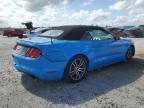 2017 Ford Mustang  for Sale in Jacksonville, FL - Front End