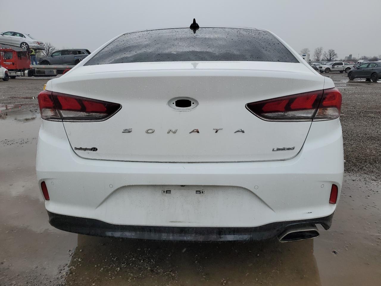 2019 Hyundai Sonata Limited VIN: 5NPE34AF5KH748417 Lot: 51497885