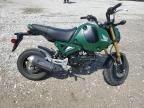 2024 Honda Grom 125 للبيع في Prairie Grove، AR - Front End