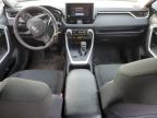 2024 TOYOTA RAV4 XLE   for sale at Copart NB - MONCTON