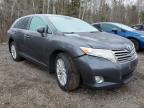 2009 Toyota Venza  for Sale in Cookstown, ON - Front End