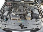 2008 Ford Mustang Shelby Gt500 na sprzedaż w Lansing, MI - Top/Roof