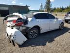 2015 Honda Accord Touring Hybrid   for Sale in Graham, WA - All Over