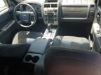 2010 Ford Escape Xlt for Sale in Apopka, FL - Front End