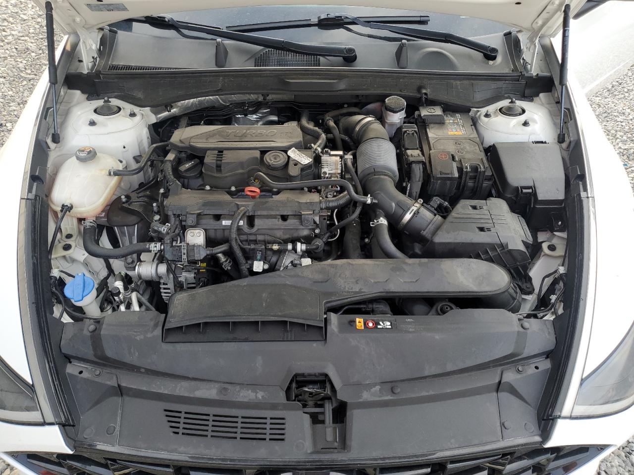 2022 Hyundai Sonata Limited VIN: KMHL34J24NA180625 Lot: 54505745