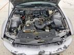 Haslet, TX에서 판매 중인 2007 Ford Mustang  - Rear End