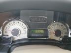 2013 Ford Expedition Xlt იყიდება San Antonio-ში, TX - Hail