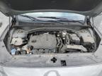 2022 Hyundai Santa Fe Se for Sale in Marlboro, NY - Front End