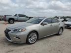 Houston, TX에서 판매 중인 2017 Lexus Es 350 - Hail