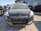 2013 Ford Escape Sel for Sale in Louisville, KY - Side