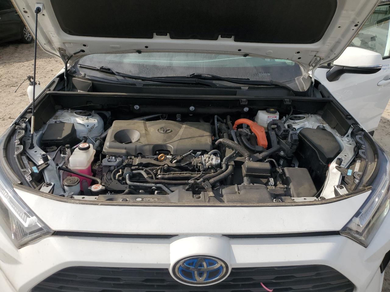 2023 Toyota Rav4 Xle VIN: 4T3RWRFV2PU086298 Lot: 54010595