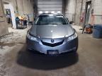2009 Acura Tl  en Venta en Blaine, MN - Minor Dent/Scratches