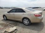 2009 Toyota Camry Base продається в Earlington, KY - Hail