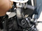 2024 Harley-Davidson Fltrxstse  for Sale in Gaston, SC - All Over