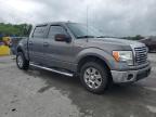 2011 Ford F150 Supercrew იყიდება Lebanon-ში, TN - Rear End