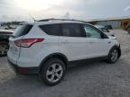Madisonville, TN에서 판매 중인 2013 Ford Escape Se - All Over