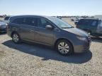 Earlington, KY에서 판매 중인 2017 Honda Odyssey Exl - Hail