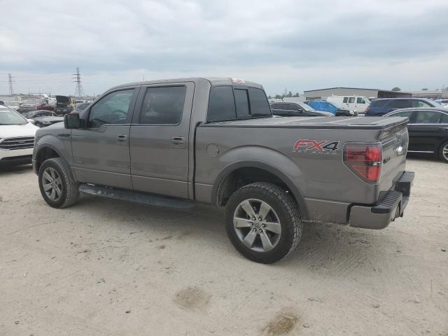  FORD F-150 2014 Gray