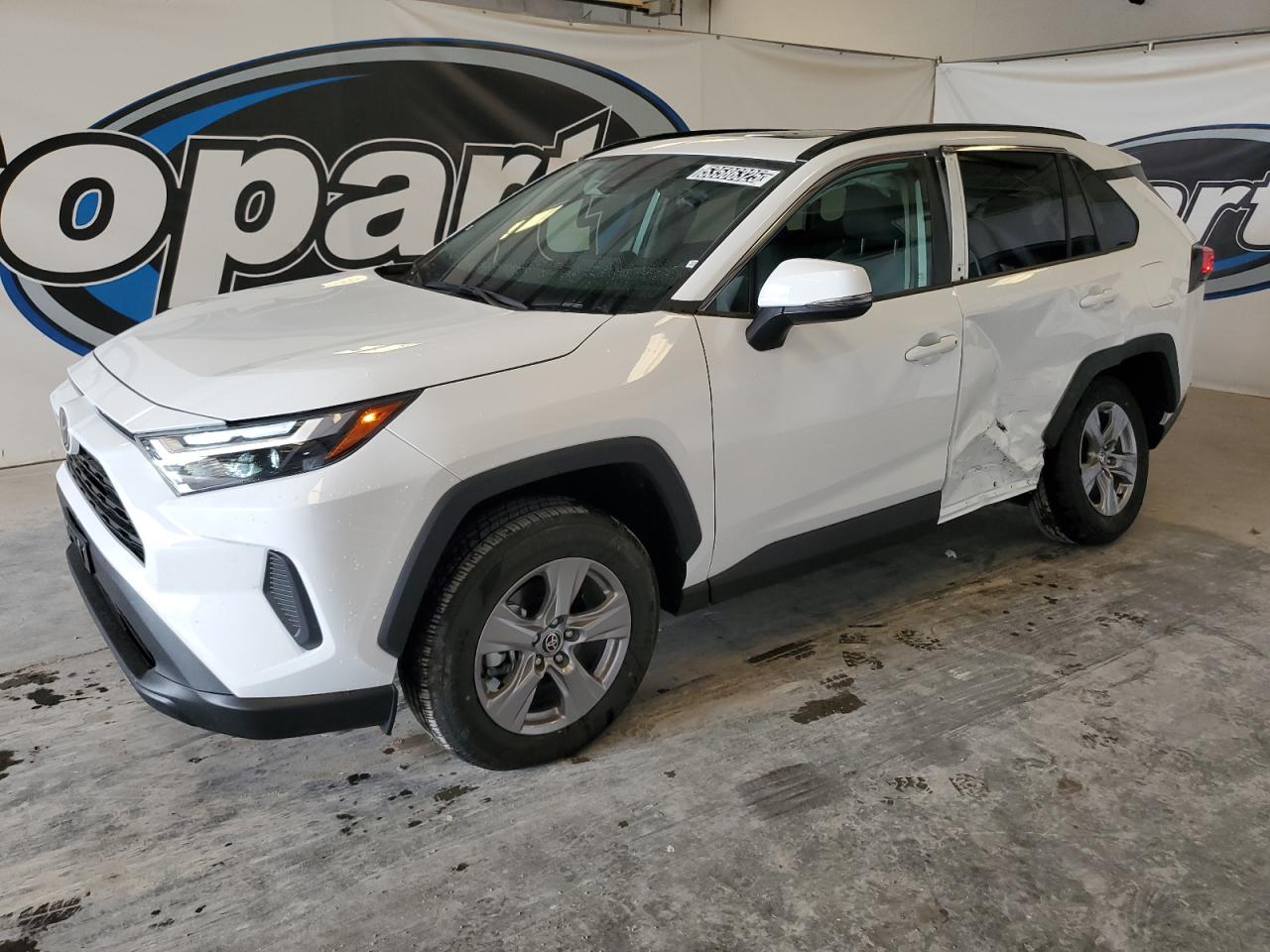 Lebanon, TN에서 판매 중인 2025 Toyota Rav4 Xle - Rear End