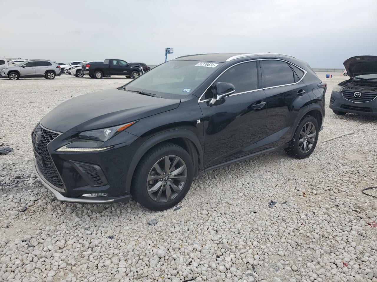 2019 Lexus Nx 300 Base for Sale in Taylor, TX - Hail