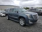 2019 Cadillac Escalade Esv Luxury zu verkaufen in Spartanburg, SC - Hail