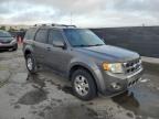 2012 Ford Escape Limited იყიდება Orlando-ში, FL - Rear End
