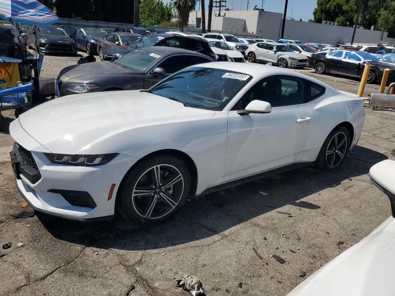 Van Nuys, CA에서 판매 중인 2024 Ford Mustang - Side