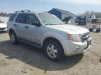 2008 Ford Escape Xlt за продажба в Assonet, MA - Normal Wear