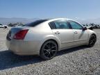 2006 Nissan Maxima Se იყიდება Mentone-ში, CA - Front End
