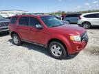 2009 Ford Escape Xlt იყიდება Cahokia Heights-ში, IL - Hail