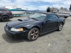 American Canyon, CA에서 판매 중인 2001 Ford Mustang Gt - All Over