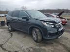 Marlboro, NY에서 판매 중인 2019 Honda Pilot Exl - Front End