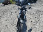 2024 Honda Cmx300  for Sale in Montgomery, AL - All Over