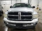 2003 Dodge Ram 1500 St zu verkaufen in Ham Lake, MN - Rear End