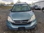 2010 Honda Cr-V Lx   на продаже в Hillsborough, NJ - Front End