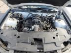 2010 Ford Mustang  იყიდება Albuquerque-ში, NM - Front End