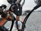 2010 HARLEY-DAVIDSON FXDWG  for sale at Copart FL - PUNTA GORDA SOUTH