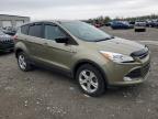 2013 Ford Escape Se   იყიდება Cahokia Heights-ში, IL - Hail