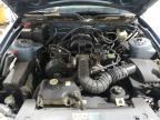 2005 Ford Mustang  for Sale in Central Square, NY - All Over