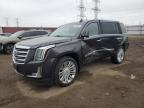 2017 Cadillac Escalade Platinum zu verkaufen in Elgin, IL - All Over