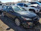 2009 Honda Accord Exl en Venta en Central Square, NY - Front End