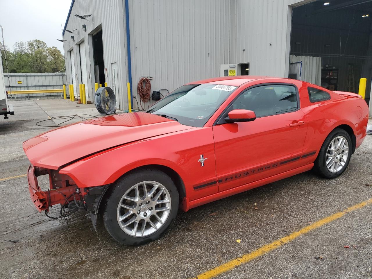 2013 Ford Mustang VIN: 1ZVBP8AM1D5223156 Lot: 54687355