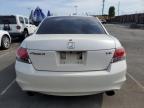 2009 Honda Accord Exl en Venta en Wilmington, CA - Minor Dent/Scratches
