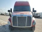 2016 Freightliner Cascadia 125 Semi Truck zu verkaufen in Houston, TX - Normal Wear